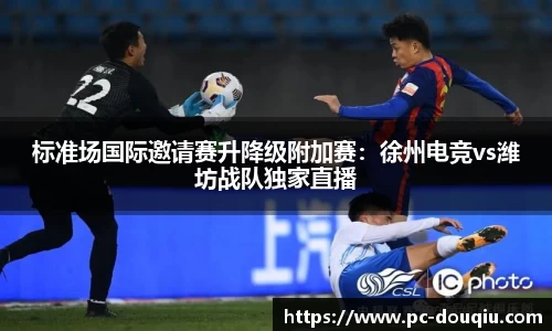 斗球体育官方网站