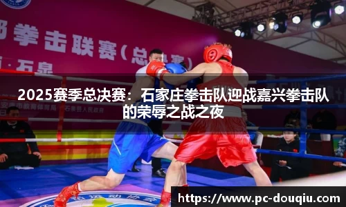 斗球体育直播