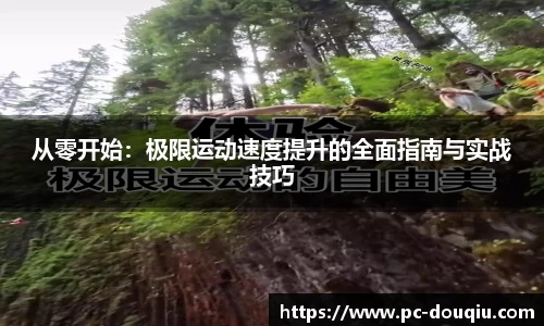 斗球体育直播